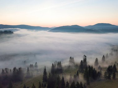Ukrayna Karpatları 'nda sabah sisi. Hava aracı görünümü.