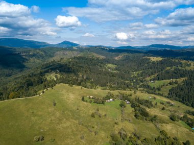 Yazın Ukrayna Karpatları 'nın yeşil dağları. Yamaçlarda kozalaklı ağaçlar. Hava aracı görünümü.