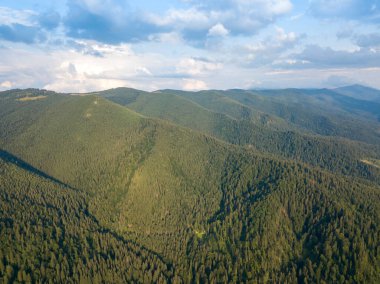 Yazın Ukrayna Karpat Dağları 'nın yeşil yamaçlarında. Bulutlu bir gün, alçak bulutlar. Hava aracı görünümü.