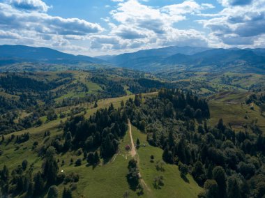 Yazın Ukrayna Karpatları 'nın yeşil dağları. Yamaçlarda kozalaklı ağaçlar. Hava aracı görünümü.