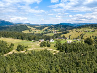 Yazın Ukrayna Karpatları 'nın yeşil dağları. Yamaçlarda kozalaklı ağaçlar. Hava aracı görünümü.