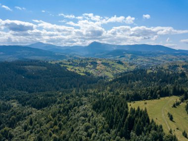 Yazın Ukrayna Karpatları 'nın yeşil dağları. Yamaçlarda kozalaklı ağaçlar. Hava aracı görünümü.