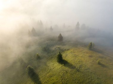 Sis dağ ormanını kaplıyor. Güneşin yükselen ışınları sisi delip geçer. Hava aracı görünümü.