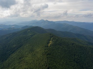 Yazın Ukrayna Karpatları 'nın yeşil dağları. Hava aracı görünümü.