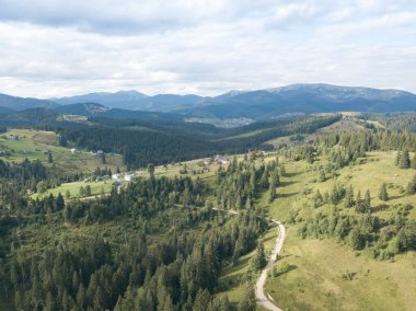 Yazın Ukrayna Karpatları 'nın yeşil dağları. Yamaçlarda kozalaklı ağaçlar. Hava aracı görünümü.