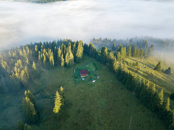 Туман окутывает горный лес. Луч восходящего солнца прорывается сквозь туман. Воздушный беспилотник.