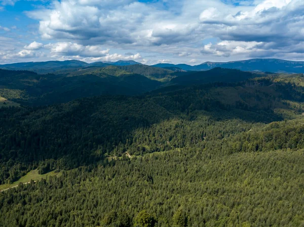 Zelené Hory Ukrajinských Karpat Létě Jehličnaté Stromy Svazích Zobrazení Leteckých — Stock fotografie