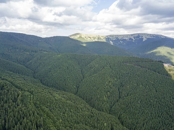 Grüne Hänge Der Ukrainischen Karpaten Sommer Bewölkter Morgen Tiefe Wolken — Stockfoto