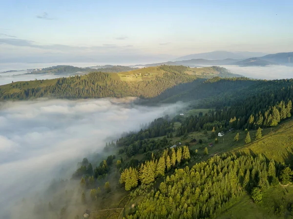 Niebla Envuelve Bosque Montañoso Los Rayos Del Sol Naciente Atraviesan — Foto de Stock