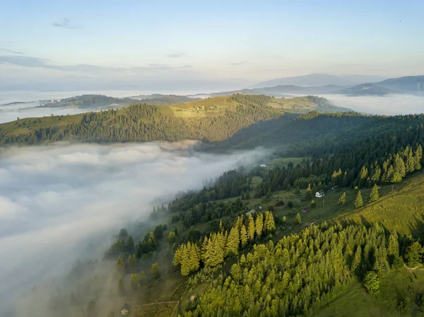 Mist Omhult Het Bergwoud Stralen Van Opkomende Zon Breken Door — Stockfoto