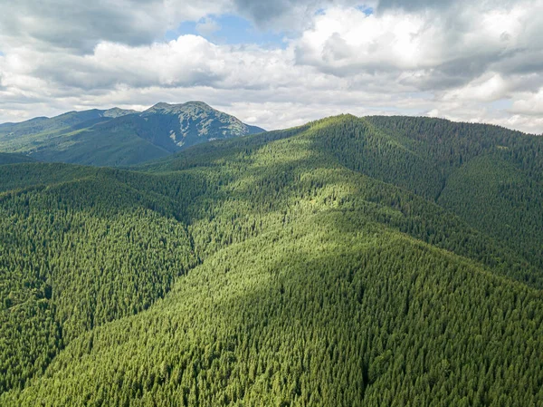 Hohe Berge Der Ukrainischen Karpaten Bei Sonnigem Wetter Drohnenblick Aus — Stockfoto