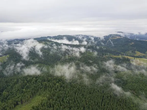 Grüne Hänge Der Ukrainischen Karpaten Sommer Bewölkter Morgen Tiefe Wolken — Stockfoto