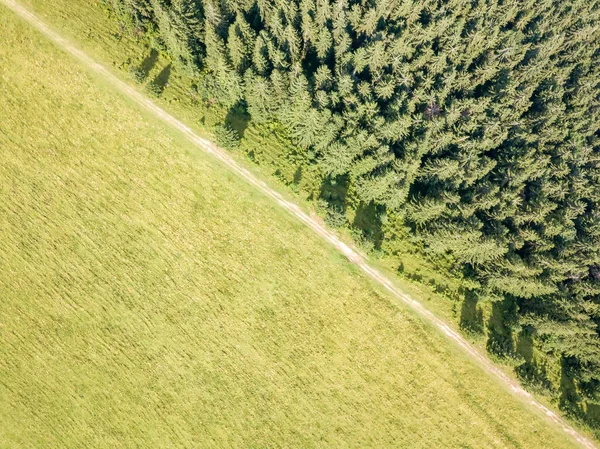 Árboles Coníferas Ladera Montaña Vista Aérea Del Dron — Foto de Stock