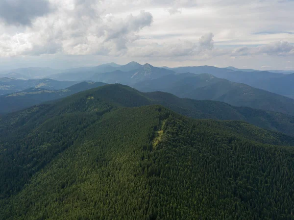 Yazın Ukrayna Karpatları 'nın yeşil dağları. Hava aracı görünümü.