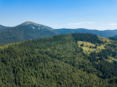 Yazın Ukrayna Karpatları 'nın yeşil dağları. Güneşli açık bir gün. Hava aracı görünümü.