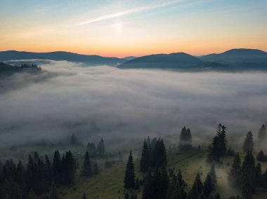 Sabah sisinde Ukrayna Karpatları 'nın yeşil dağları. Hava aracı görünümü.