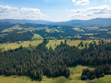 Yazın Ukrayna Karpatları 'nın yeşil dağları. Güneşli bir gün, nadir bulutlar. Hava aracı görünümü.