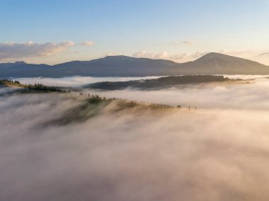 Sisli Karpatlar 'da güneşli bir sabah. Dağları kalın bir sis tabakası kaplıyor. Hava aracı görünümü.