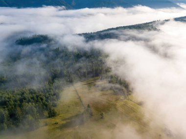 Ukrayna Karpatları 'nda sisli bir yaz sabahı. Hava aracı görünümü.