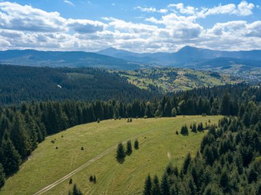 Yazın Ukrayna Karpatları 'nın yeşil dağları. Yamaçlarda kozalaklı ağaçlar. Hava aracı görünümü.