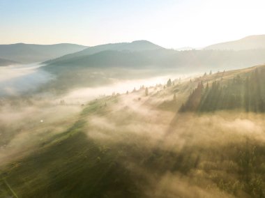 Ukrayna Karpatya dağlarında sabah sisi. Hava aracı görünümü.