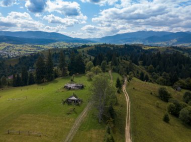 Yazın Ukrayna Karpatları 'nın yeşil dağları. Yamaçlarda kozalaklı ağaçlar. Hava aracı görünümü.