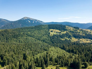 Bir yaz sabahı Ukrayna Karpatları dağları. Hava aracı görünümü.