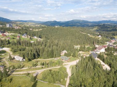 Yazın Ukrayna Karpatları 'nın yeşil dağları. Yamaçlarda kozalaklı ağaçlar. Hava aracı görünümü.