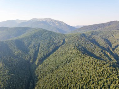 Yazın Ukrayna Karpatları 'nın yeşil dağları. Güneşli bir gün, nadir bulutlar. Hava aracı görünümü.