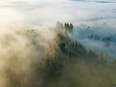 Ukrayna Karpatları 'nda sisli bir yaz sabahı. Hava aracı görünümü.