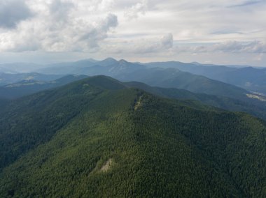 Yazın Ukrayna Karpatları 'nın yeşil dağları. Hava aracı görünümü.