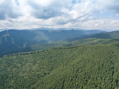 Yazın Ukrayna Karpatları 'nın yeşil dağları. Güneşli bir gün, nadir bulutlar. Hava aracı görünümü.