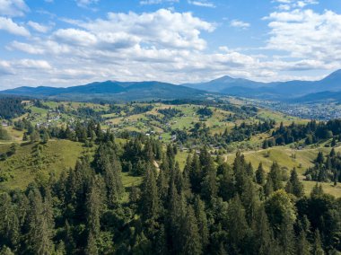 Yazın Ukrayna Karpatları 'nın yeşil dağları. Yamaçlarda kozalaklı ağaçlar. Hava aracı görünümü.