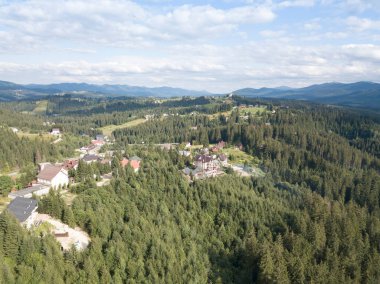 Yazın Ukrayna Karpatları 'nın yeşil dağları. Yamaçlarda kozalaklı ağaçlar. Hava aracı görünümü.