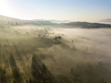 Ukrayna Karpatya dağlarında sabah sisi. Hava aracı görünümü.