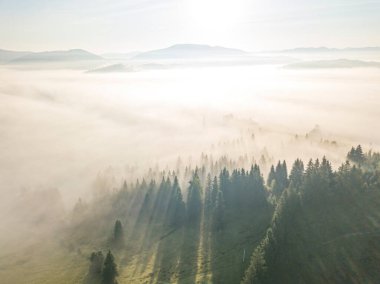 Sabah güneşinin ışınları dağlardaki sislerin arasından. Hava aracı görünümü.