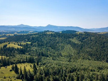 Yazın Ukrayna Karpatları 'nın yeşil dağları. Güneşli açık bir gün. Hava aracı görünümü.