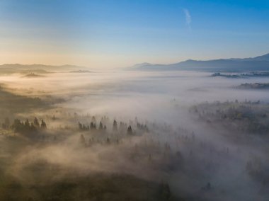 Ukrayna Karpatları 'nda sabah sisi. Hava aracı görünümü.