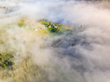 Sis dağ ormanını kaplıyor. Güneşin yükselen ışınları sisi delip geçer. Hava aracı görünümü.