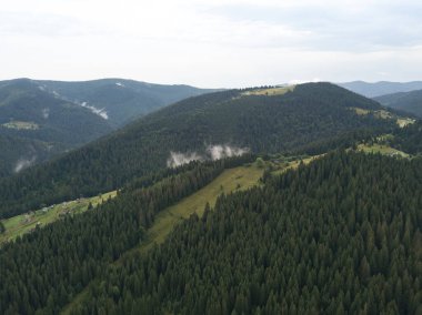 Yazın Ukrayna Karpatları 'nın yeşil dağları. Hava aracı görünümü.