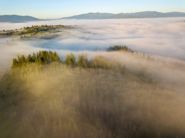 Sis dağ ormanını kaplıyor. Güneşin yükselen ışınları sisi delip geçer. Hava aracı görünümü.