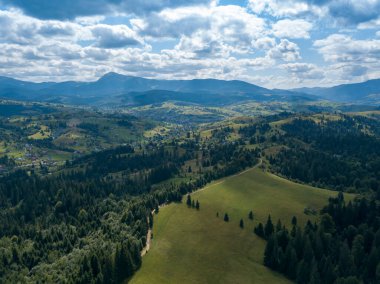 Yazın Ukrayna Karpatları 'nın yeşil dağları. Yamaçlarda kozalaklı ağaçlar. Hava aracı görünümü.
