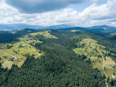 Yazın Ukrayna 'nın yeşil Karpatları. Hava aracı görünümü.