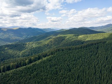 Yazın Ukrayna Karpat Dağları 'nın yeşil yamaçlarında. Bulutlu bir sabah, alçak bulutlar. Hava aracı görünümü.