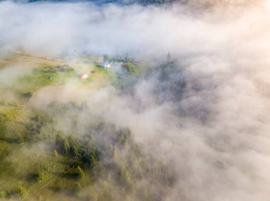 Sis dağ ormanını kaplıyor. Güneşin yükselen ışınları sisi delip geçer. Hava aracı görünümü.