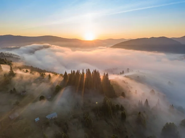 Amanecer Sobre Niebla Los Cárpatos Ucranianos Vista Aérea Del Dron —  Fotos de Stock