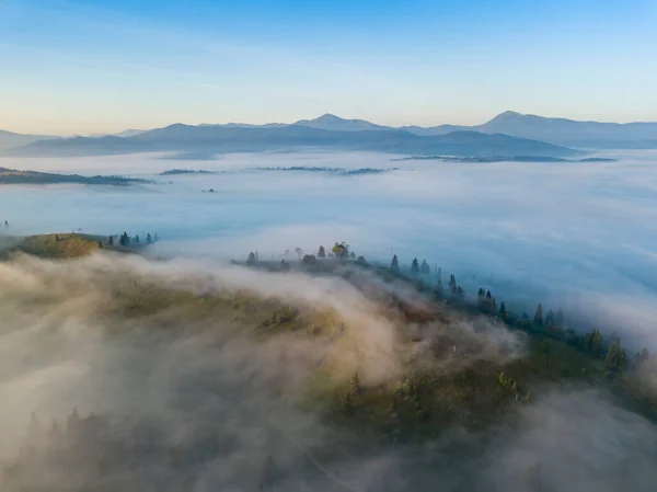 Brume Matinale Dans Les Montagnes Des Carpates Ukrainiennes Vue Aérienne — Photo