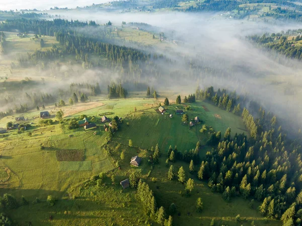 Nebbia Mattutina Nei Carpazi Ucraini Vista Aerea Drone — Foto Stock