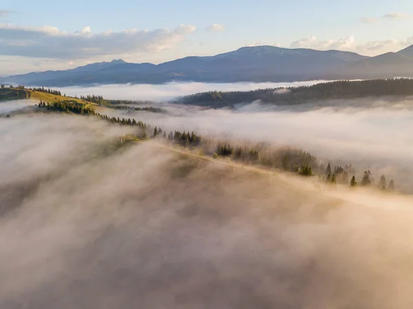 Matin Ensoleillé Dans Brouillard Des Carpates Une Épaisse Couche Brouillard — Photo