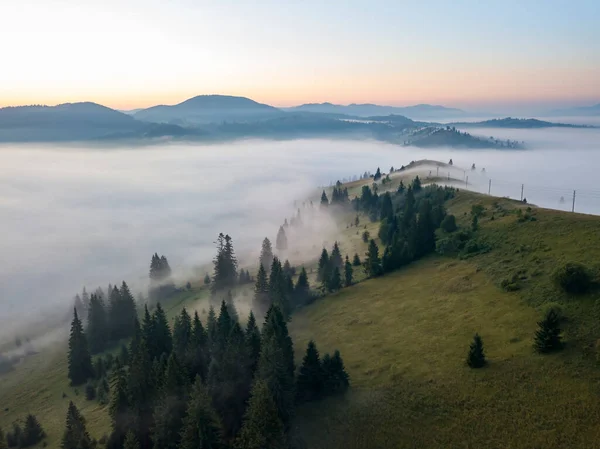 Grüne Berge Der Ukrainischen Karpaten Morgennebel Drohnenblick Aus Der Luft — Stockfoto